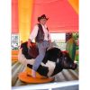 Rodeo Bulle